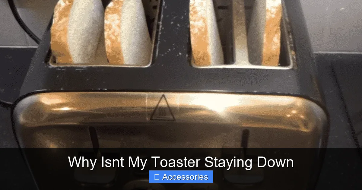 Why Isnt My Toaster Staying Down