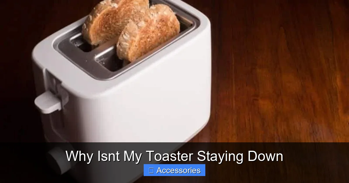 Why Isnt My Toaster Staying Down