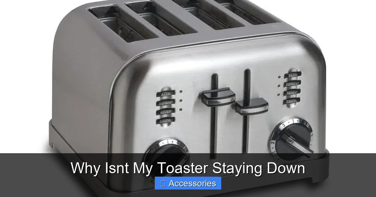 Why Isnt My Toaster Staying Down