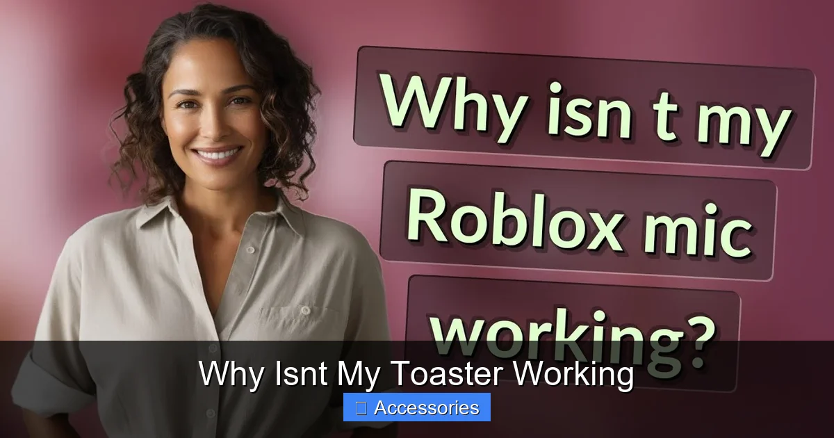 Why Isnt My Toaster Working