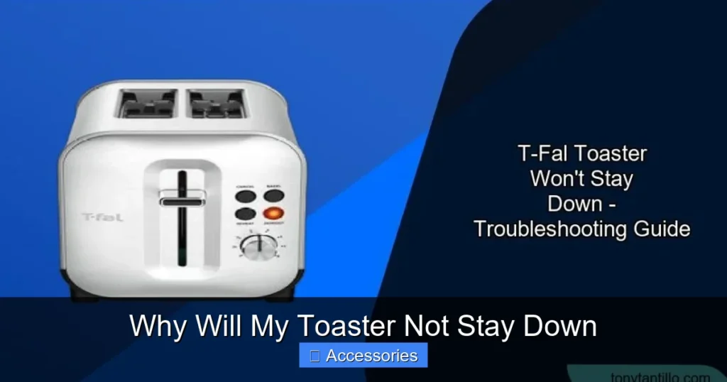 Why Will My Toaster Not Stay Down