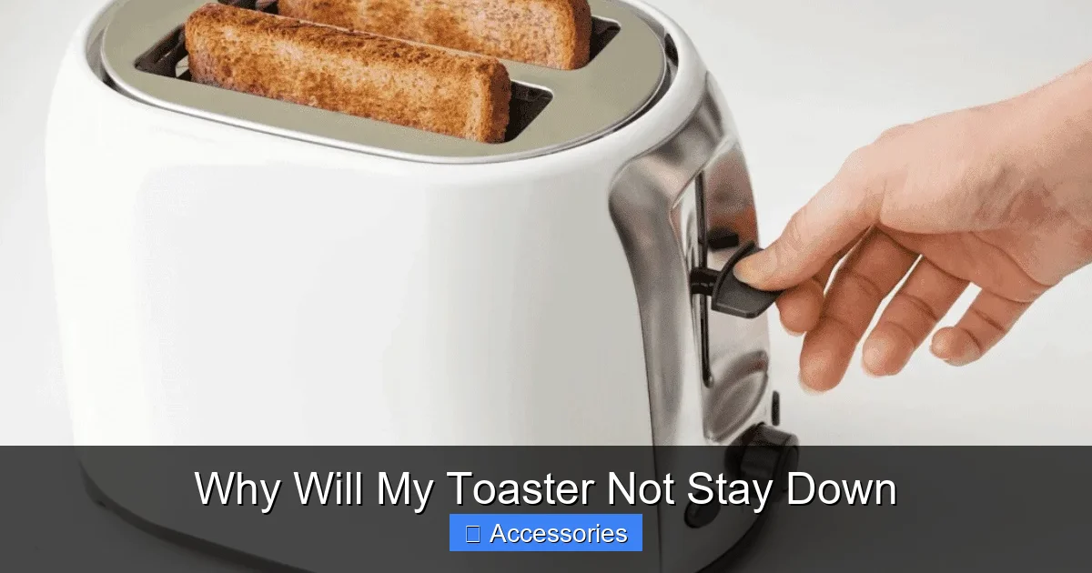 Why Will My Toaster Not Stay Down