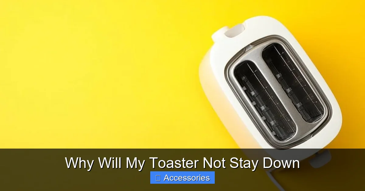 Why Will My Toaster Not Stay Down