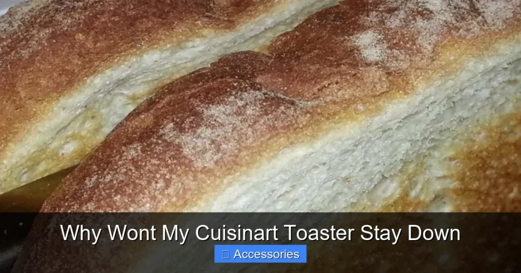 Why Wont My Cuisinart Toaster Stay Down