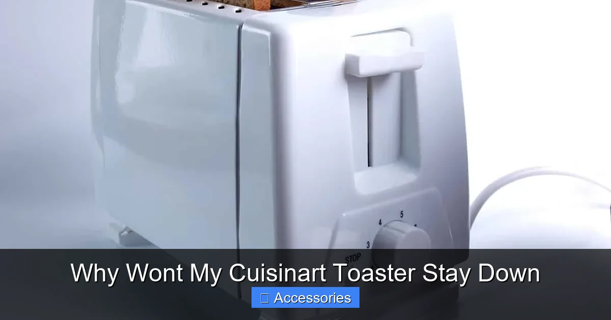 Why Wont My Cuisinart Toaster Stay Down