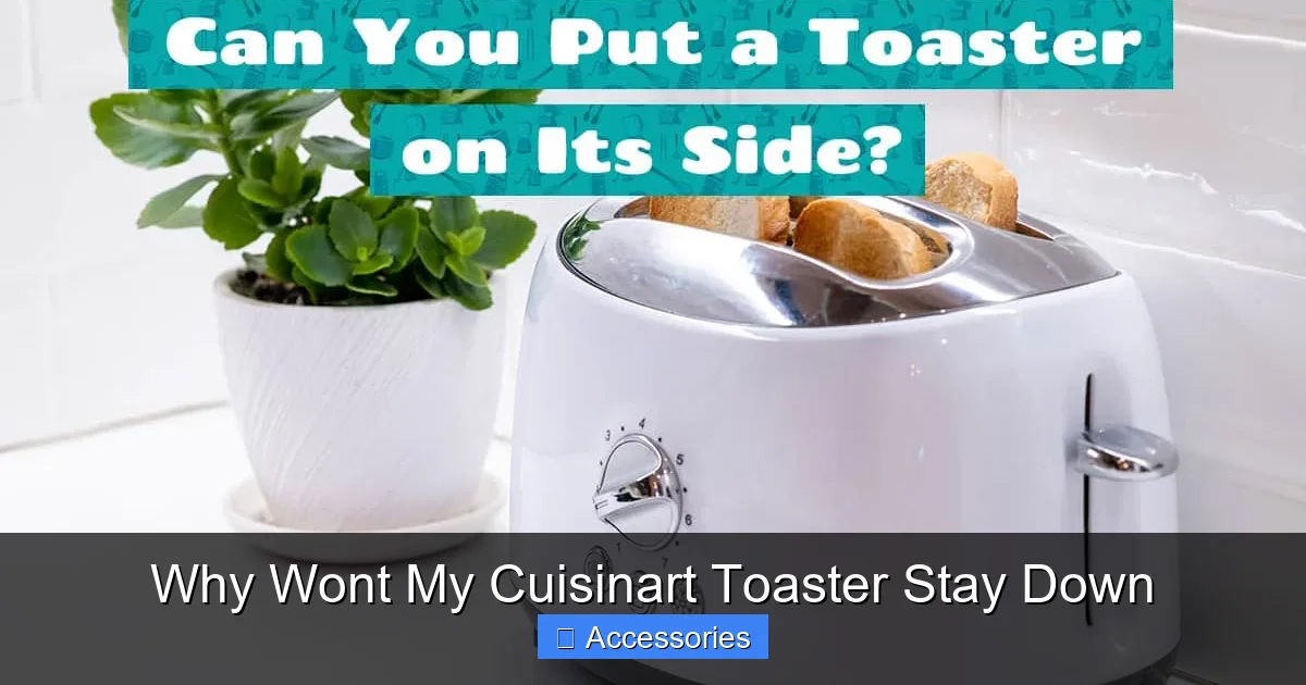 Why Wont My Cuisinart Toaster Stay Down
