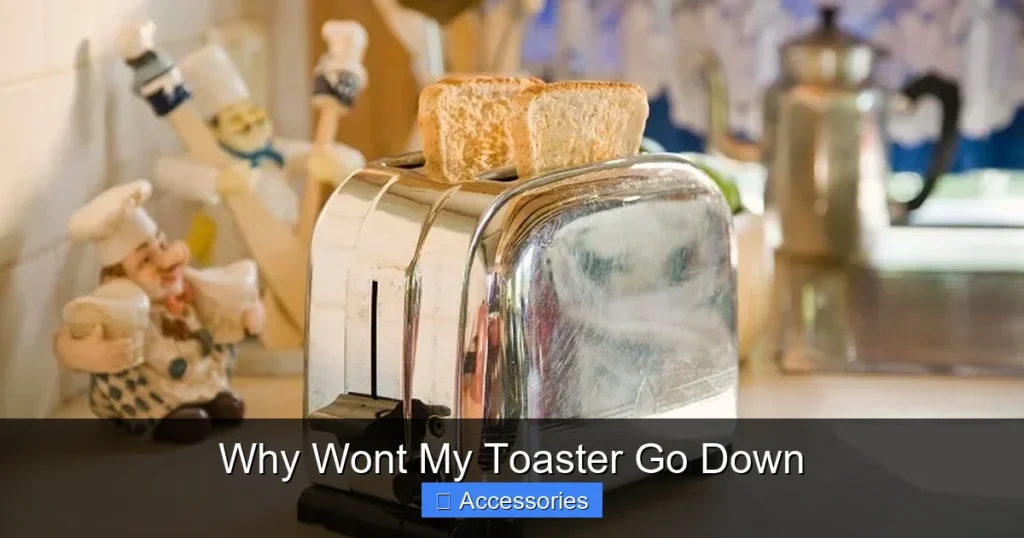 Why Wont My Toaster Go Down