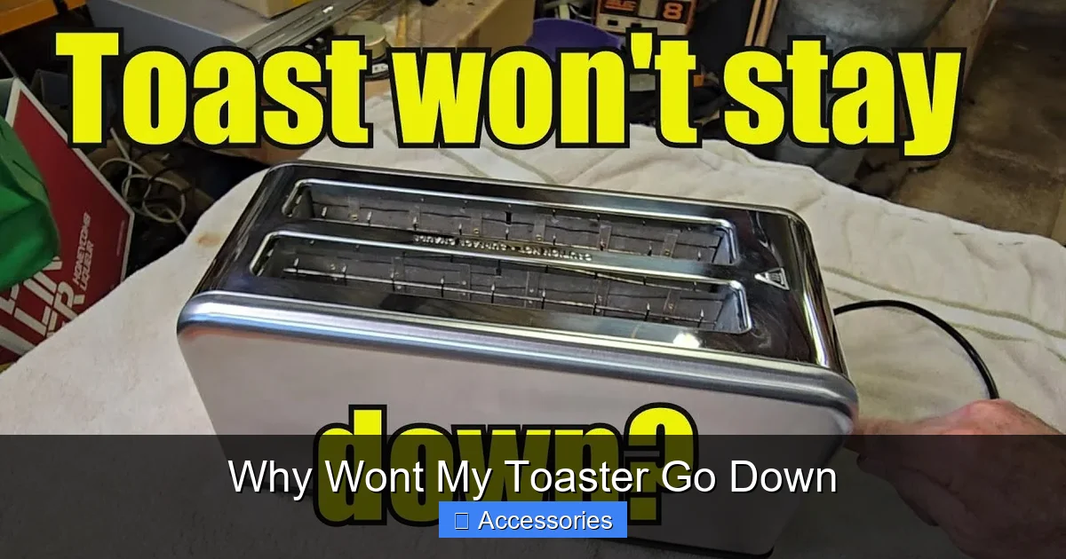 Why Wont My Toaster Go Down