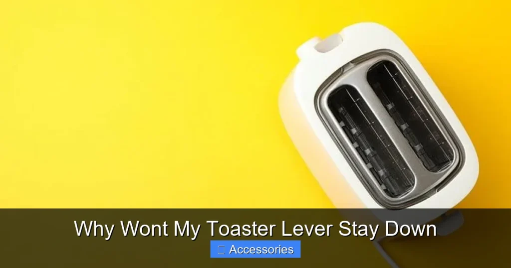 Why Wont My Toaster Lever Stay Down