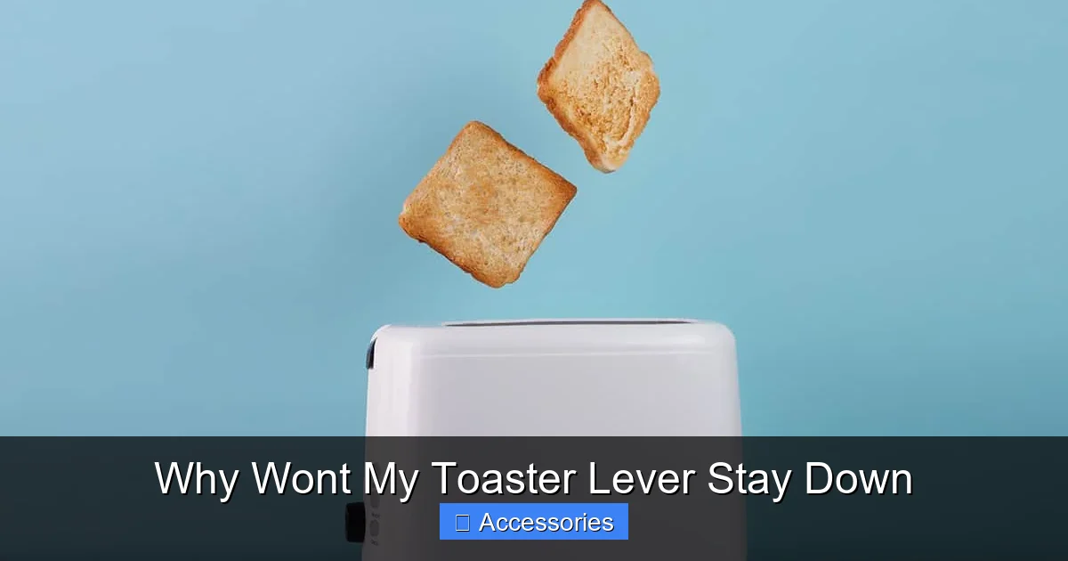 Why Wont My Toaster Lever Stay Down