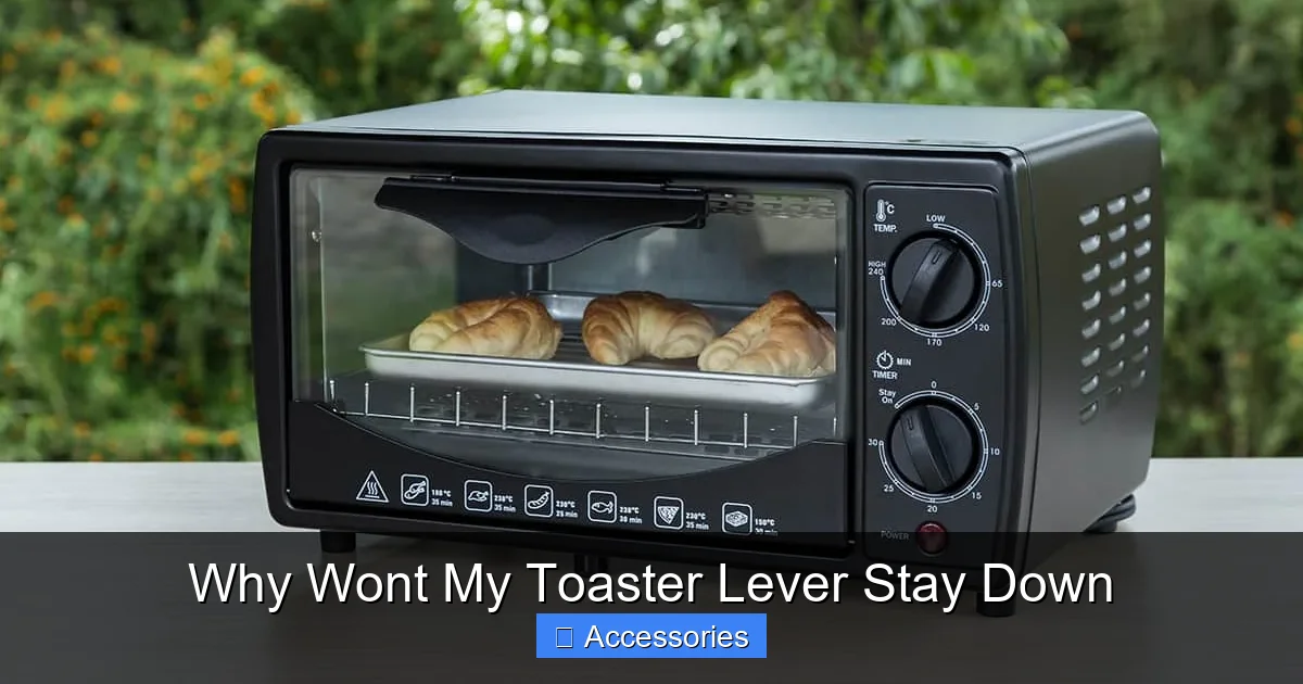 Why Wont My Toaster Lever Stay Down