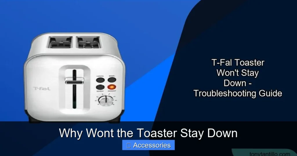 Why Wont the Toaster Stay Down