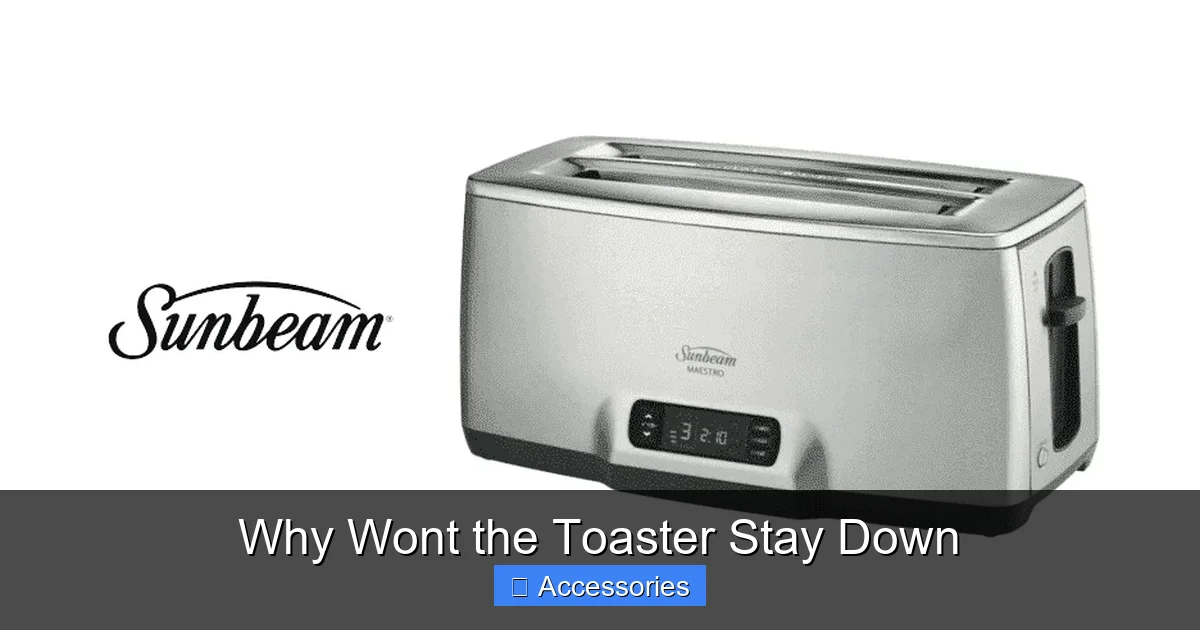 Why Wont the Toaster Stay Down