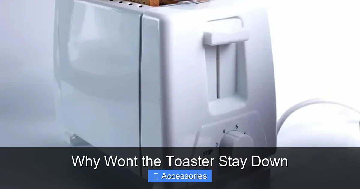 Why Wont the Toaster Stay Down