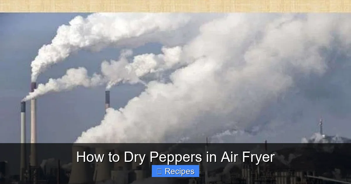 How to Dry Peppers in Air Fryer