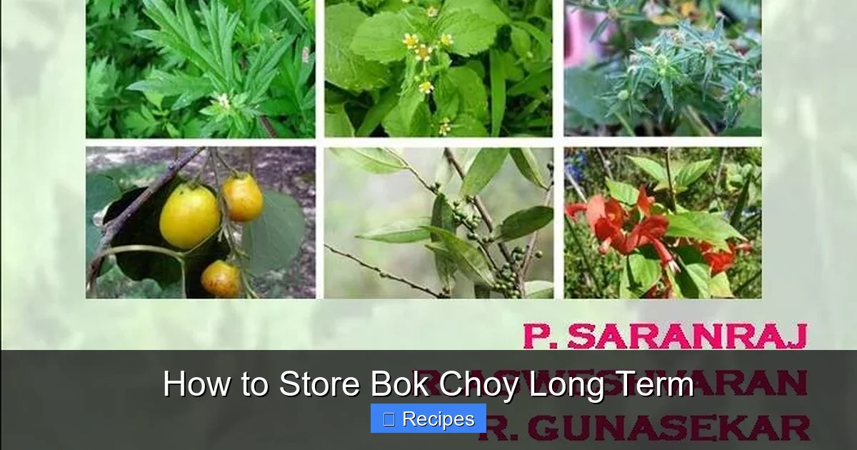 How to Store Bok Choy Long Term