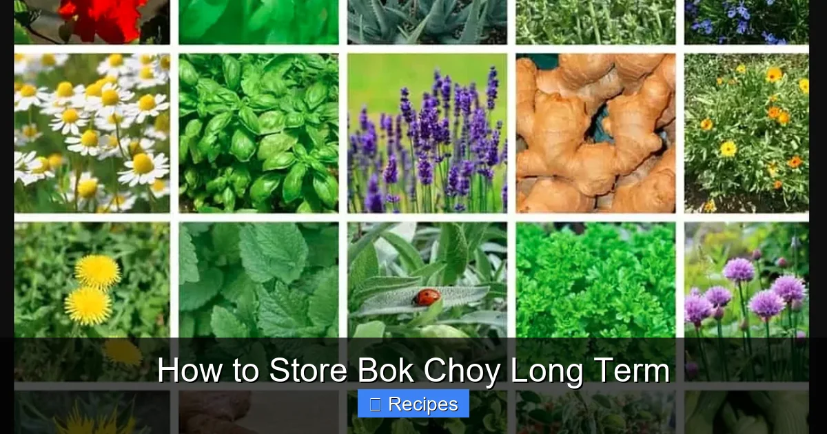 How to Store Bok Choy Long Term