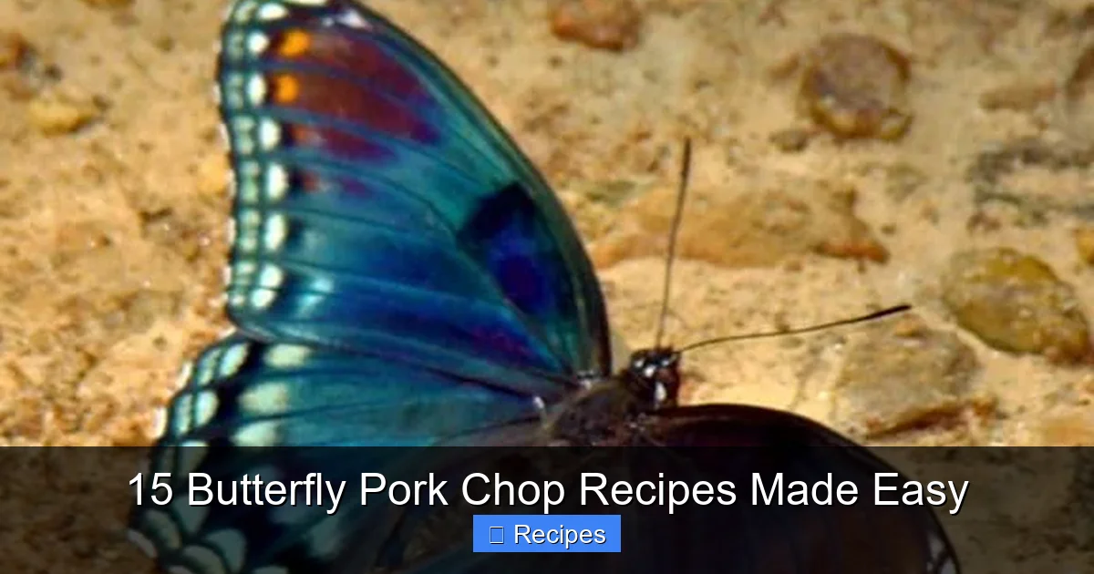 15 Butterfly Pork Chop Recipes Made Easy
