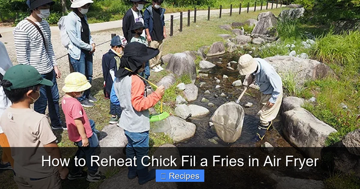 How to Reheat Chick Fil a Fries in Air Fryer