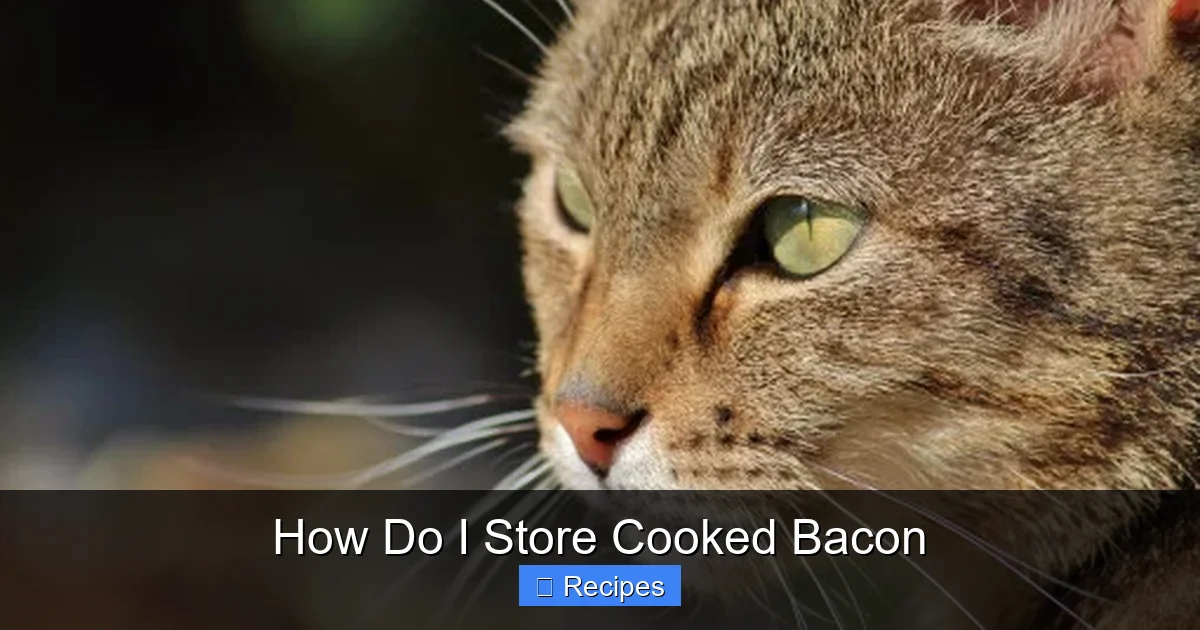 How Do I Store Cooked Bacon