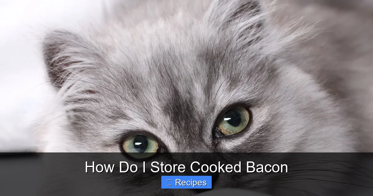 How Do I Store Cooked Bacon