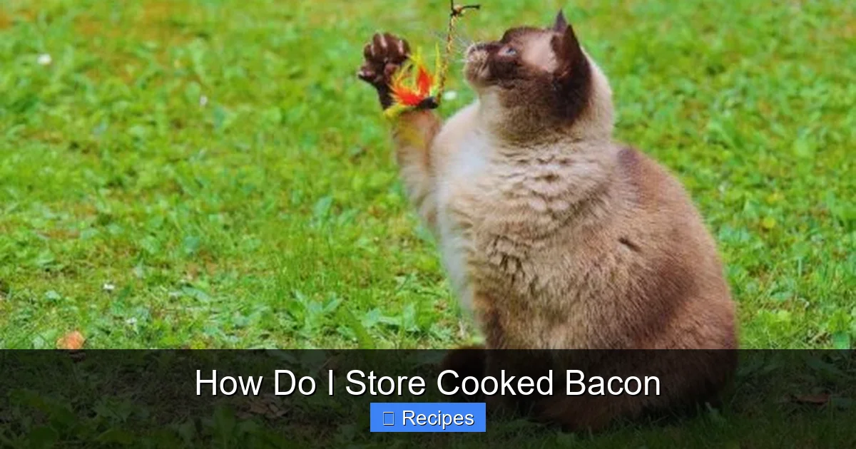 How Do I Store Cooked Bacon