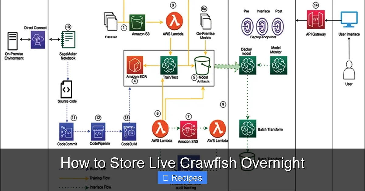 How to Store Live Crawfish Overnight