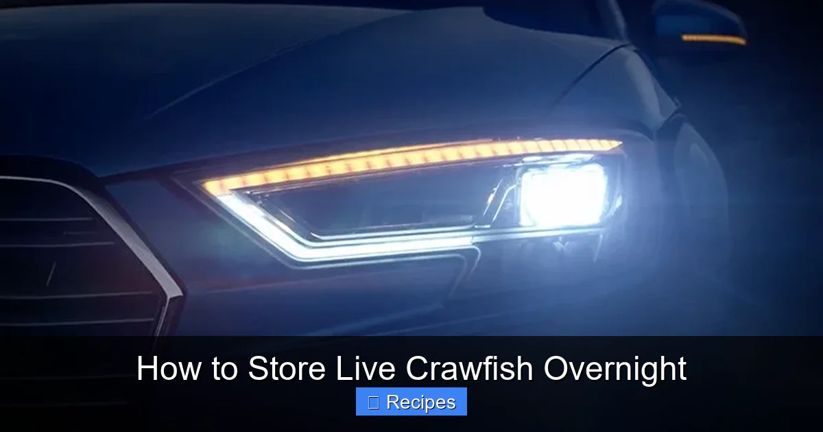 How to Store Live Crawfish Overnight