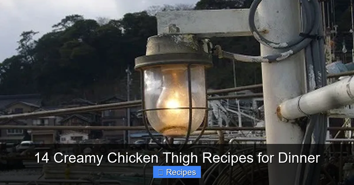 14 Creamy Chicken Thigh Recipes for Dinner