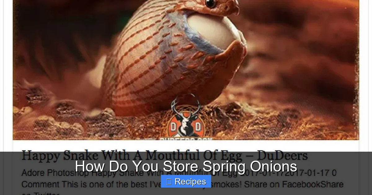 How Do You Store Spring Onions