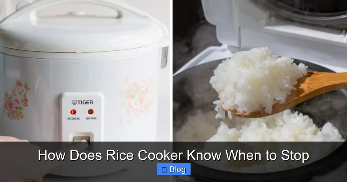 How Does Rice Cooker Know When to Stop