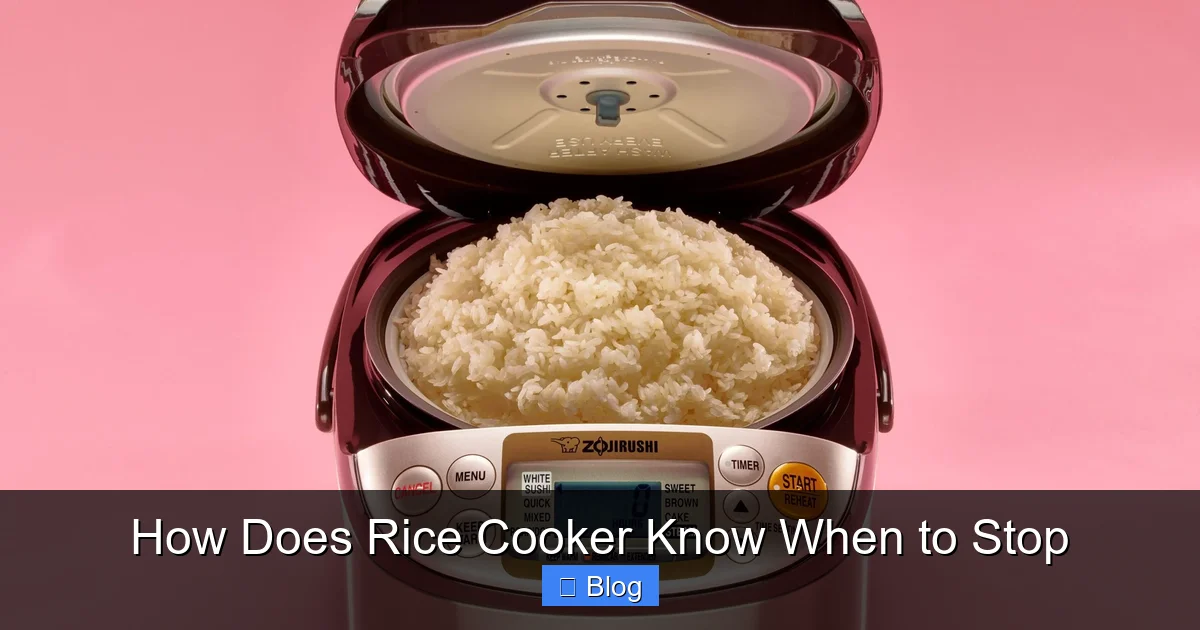 How Does Rice Cooker Know When to Stop