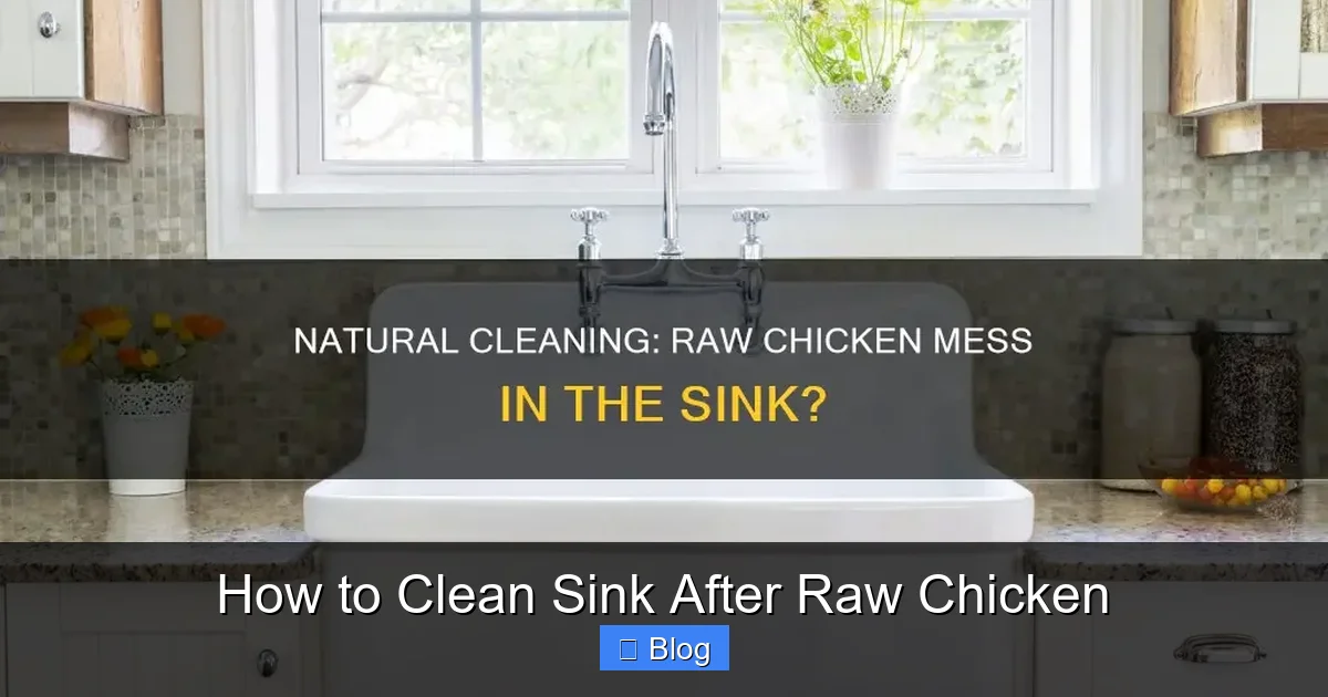 How to Clean Sink After Raw Chicken