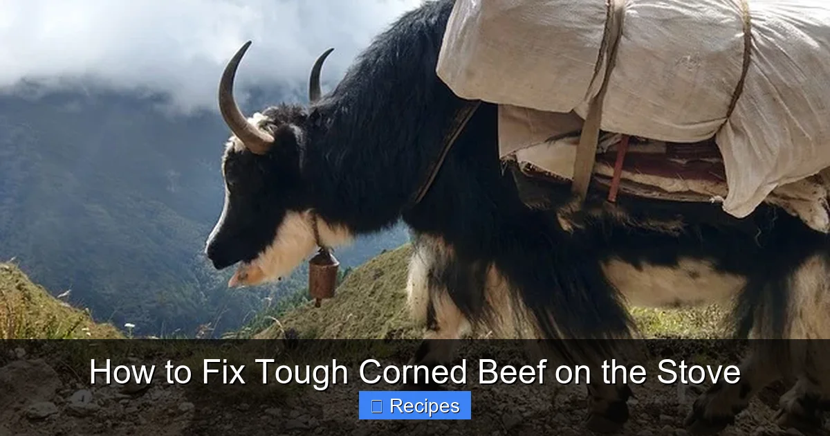 How to Fix Tough Corned Beef on the Stove