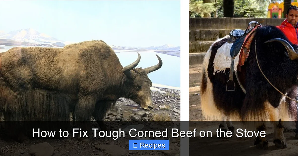 How to Fix Tough Corned Beef on the Stove