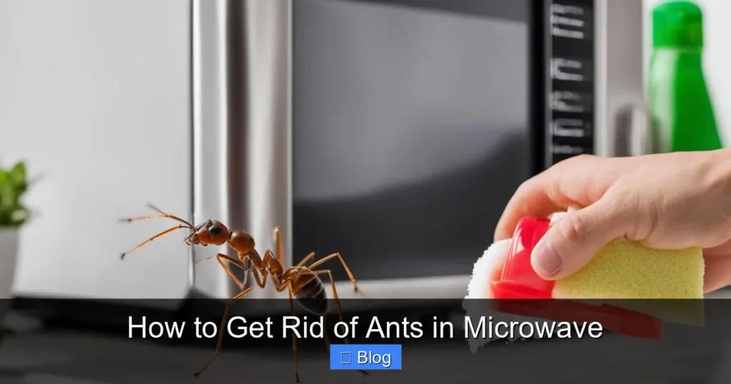 How to Get Rid of Ants in Microwave