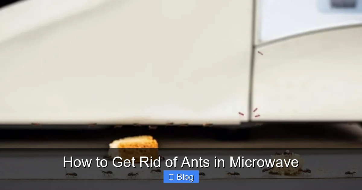 How to Get Rid of Ants in Microwave