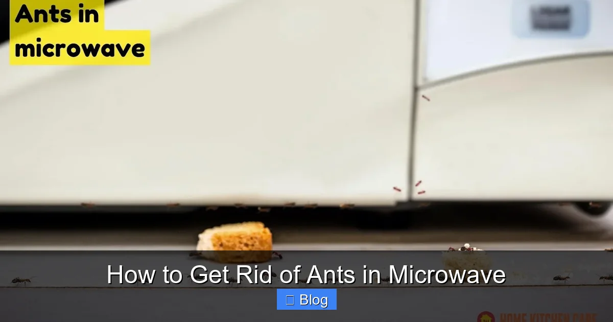 How to Get Rid of Ants in Microwave