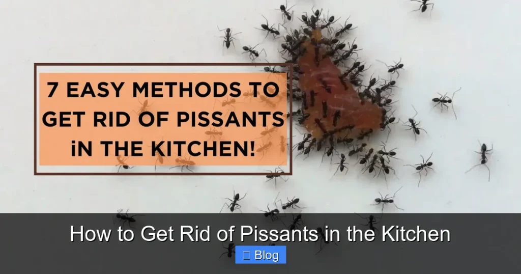How to Get Rid of Pissants in the Kitchen