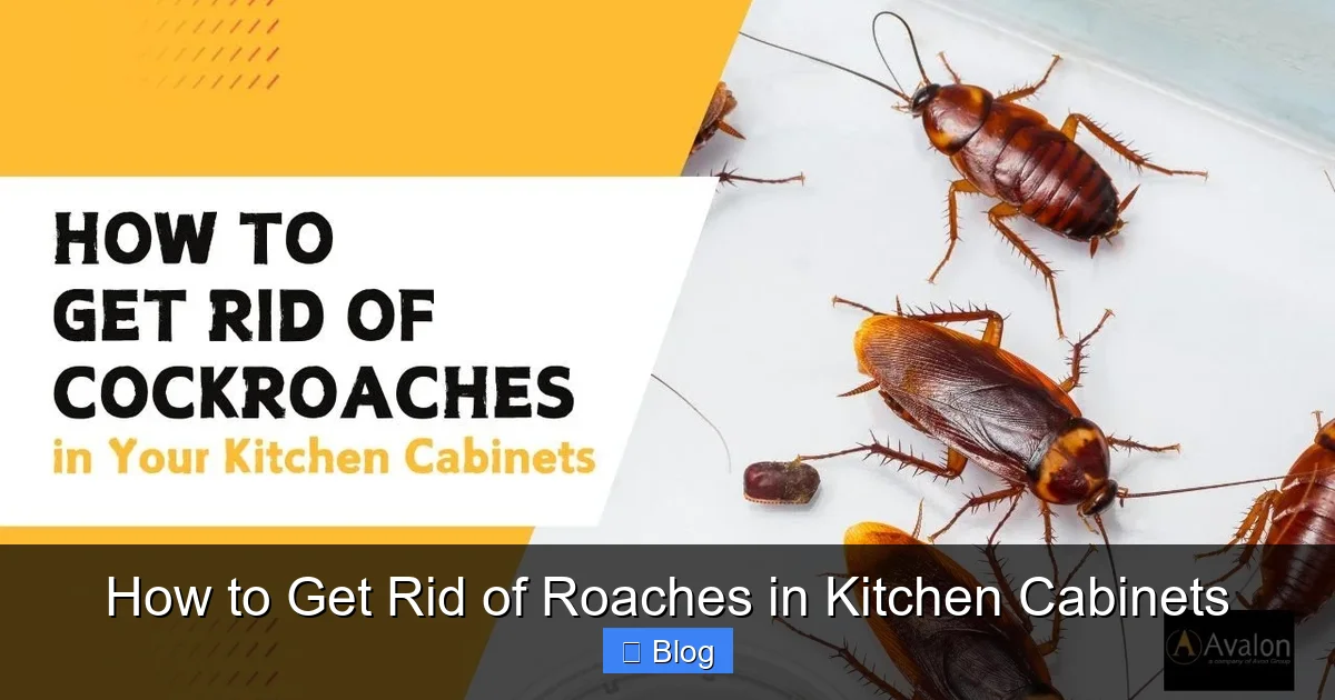 How to Get Rid of Roaches in Kitchen Cabinets