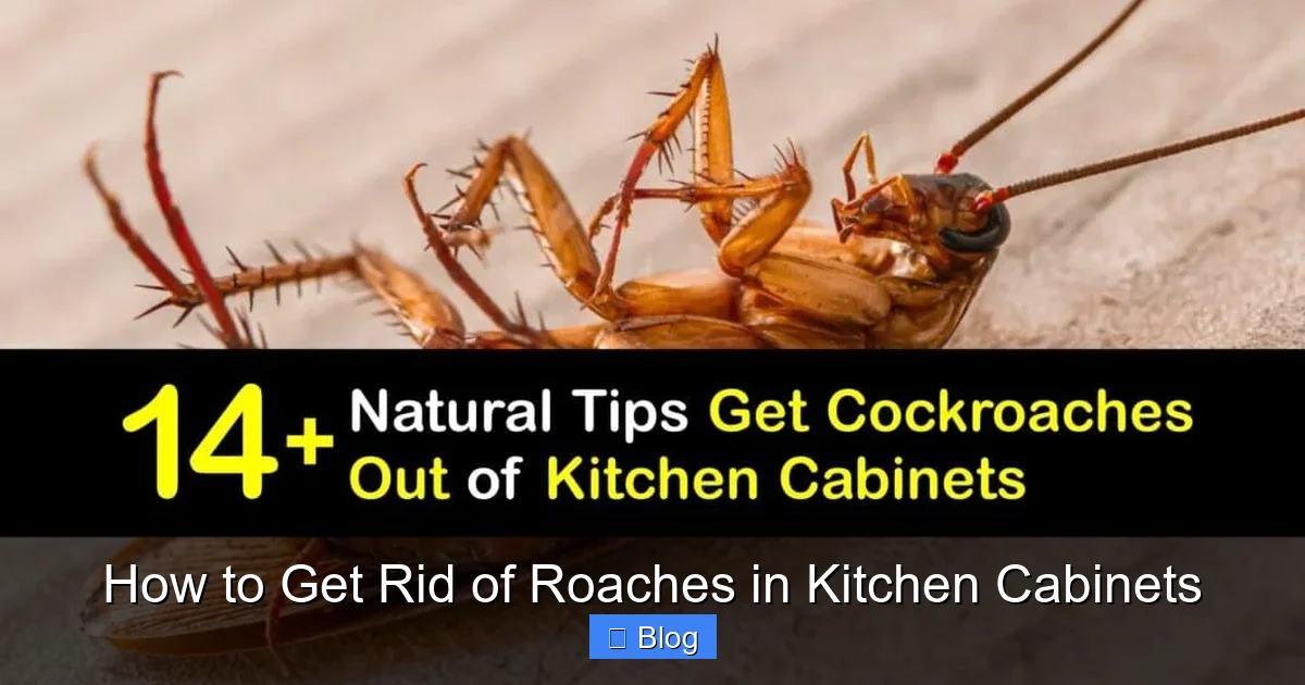 How to Get Rid of Roaches in Kitchen Cabinets