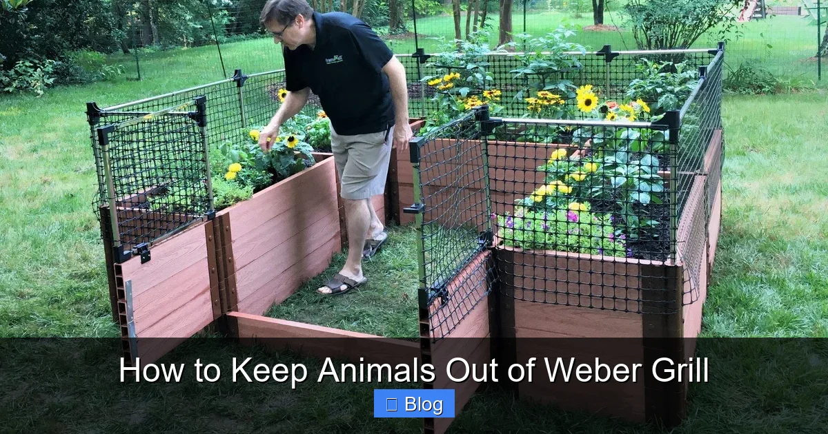 How to Keep Animals Out of Weber Grill