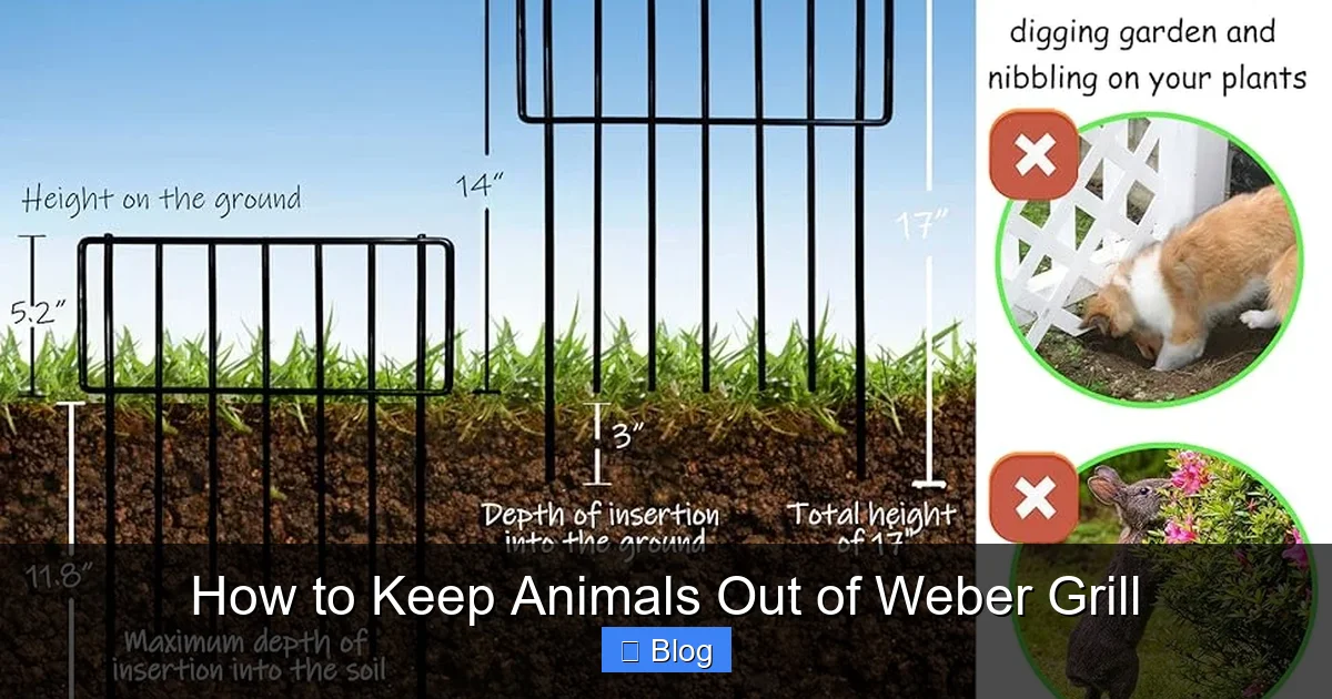 How to Keep Animals Out of Weber Grill