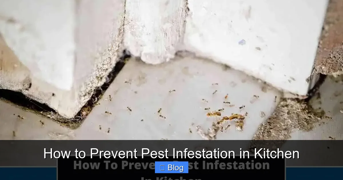 How to Prevent Pest Infestation in Kitchen
