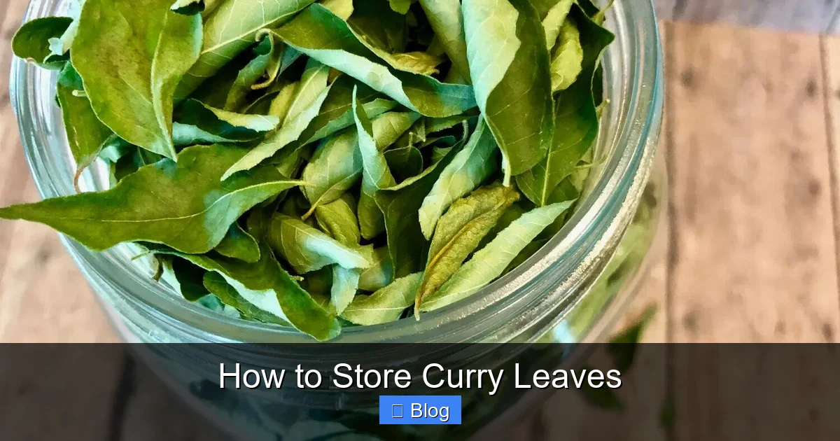 How to Store Curry Leaves