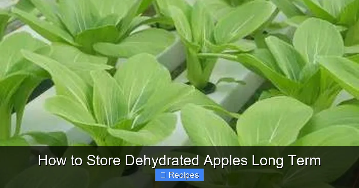 How to Store Dehydrated Apples Long Term