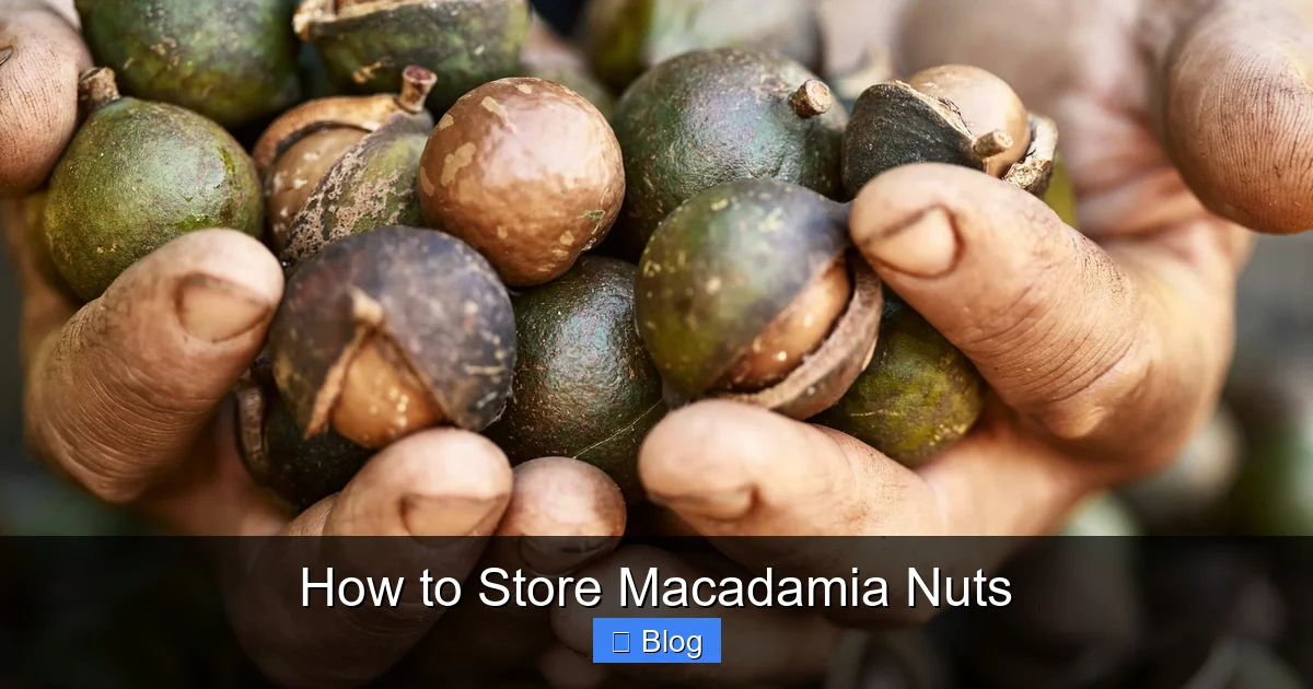 How to Store Macadamia Nuts