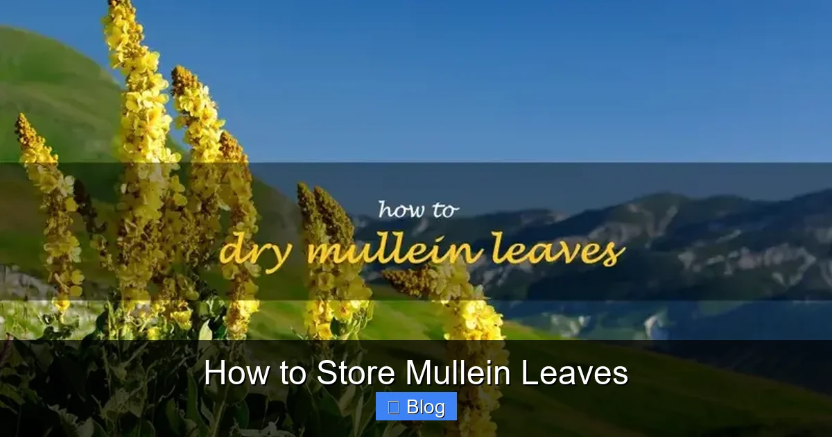 How to Store Mullein Leaves