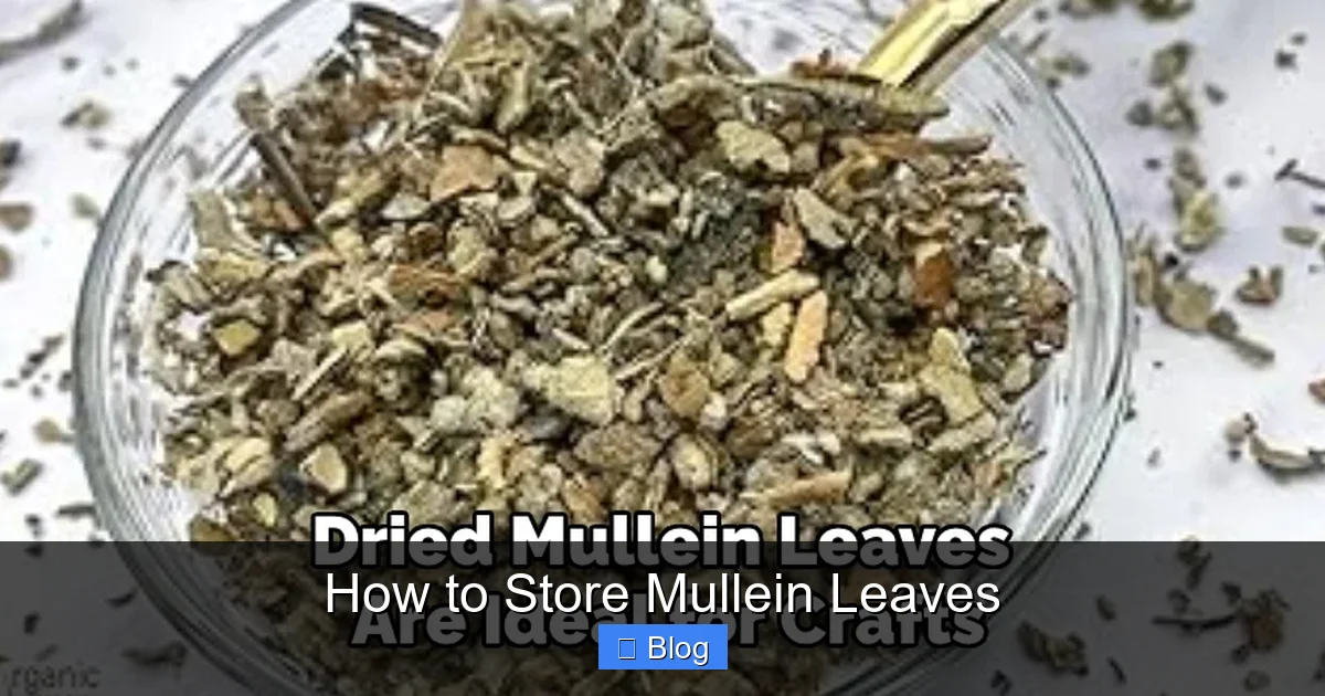 How to Store Mullein Leaves