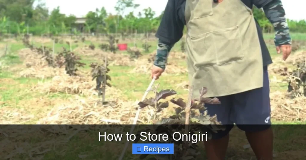 How to Store Onigiri